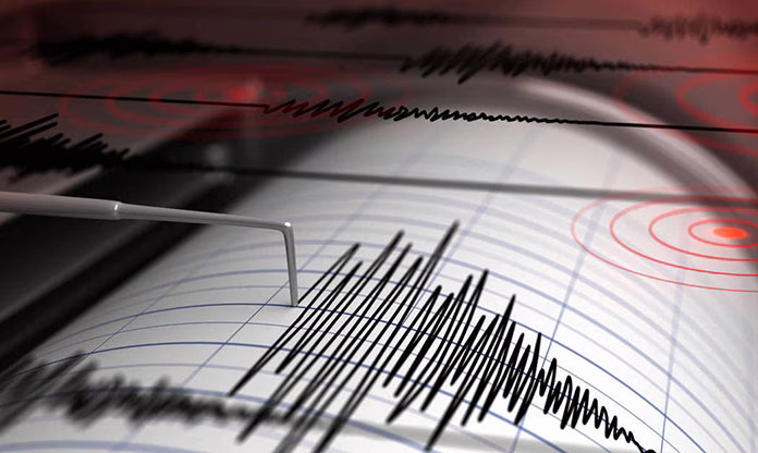 DASK (Zorunlu Deprem Sigortası)